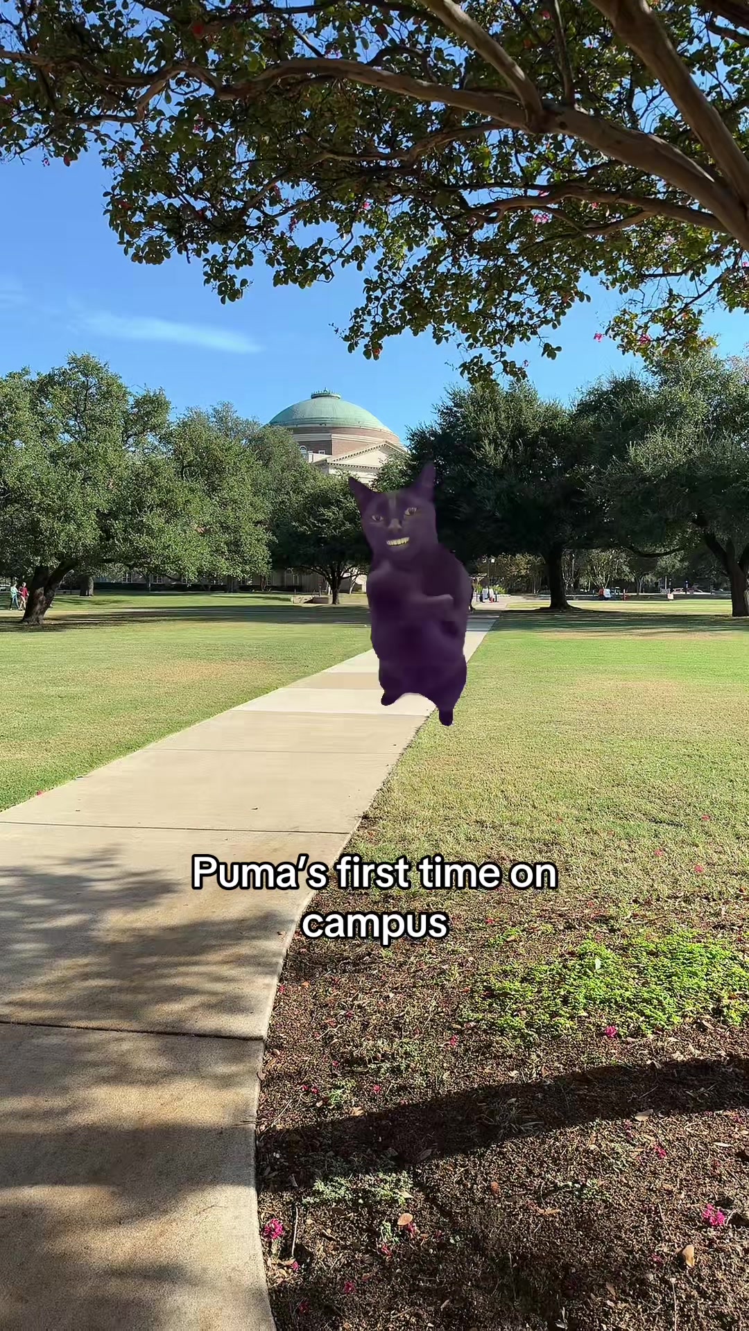 @SMU