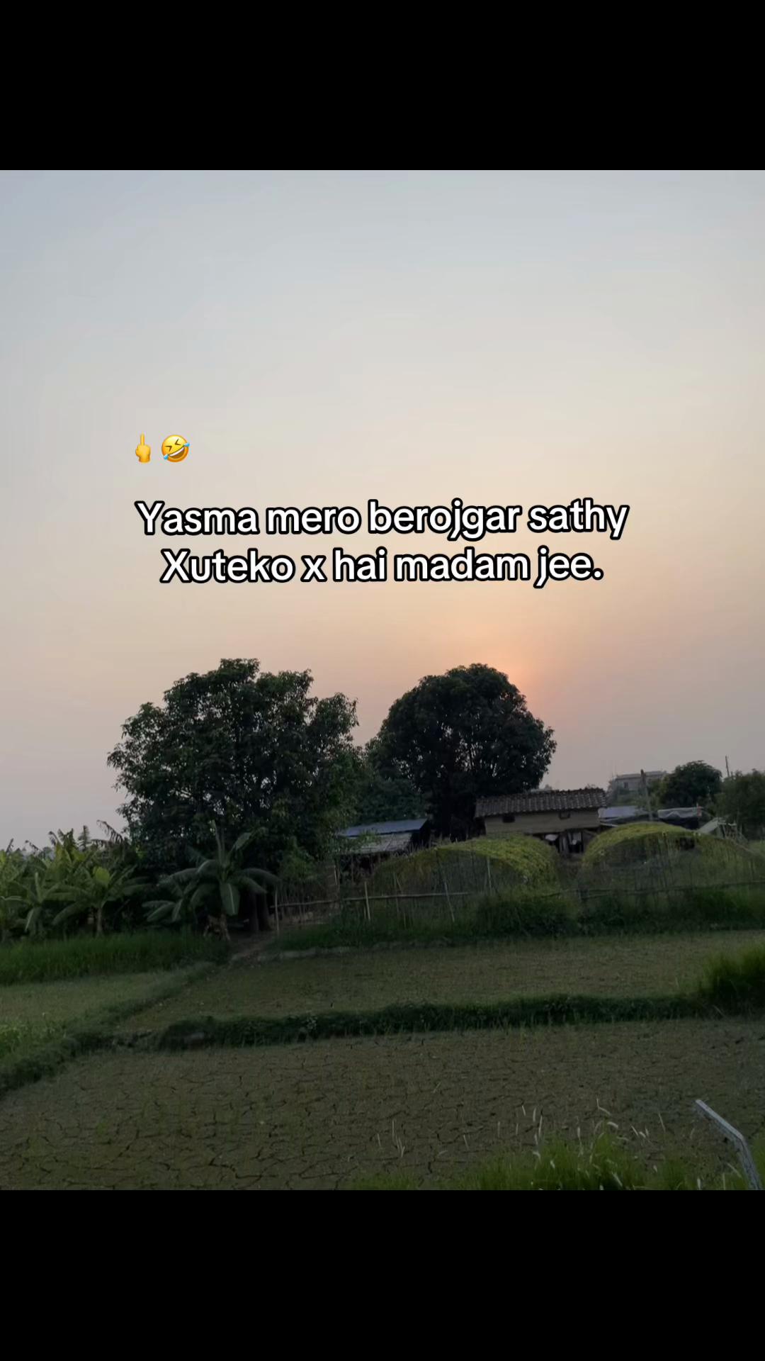@LYLY 