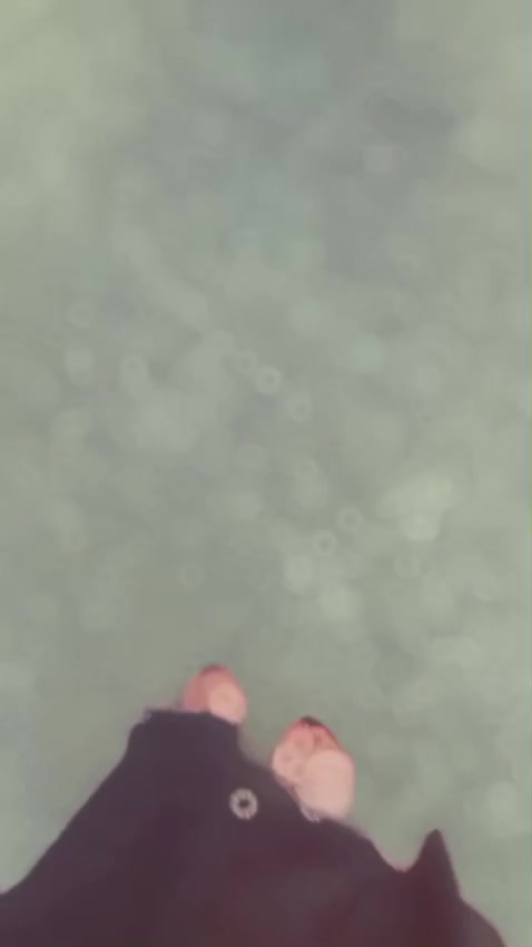 @🐼 𝕋𝕒𝕟𝕦 🕷️ 💫
