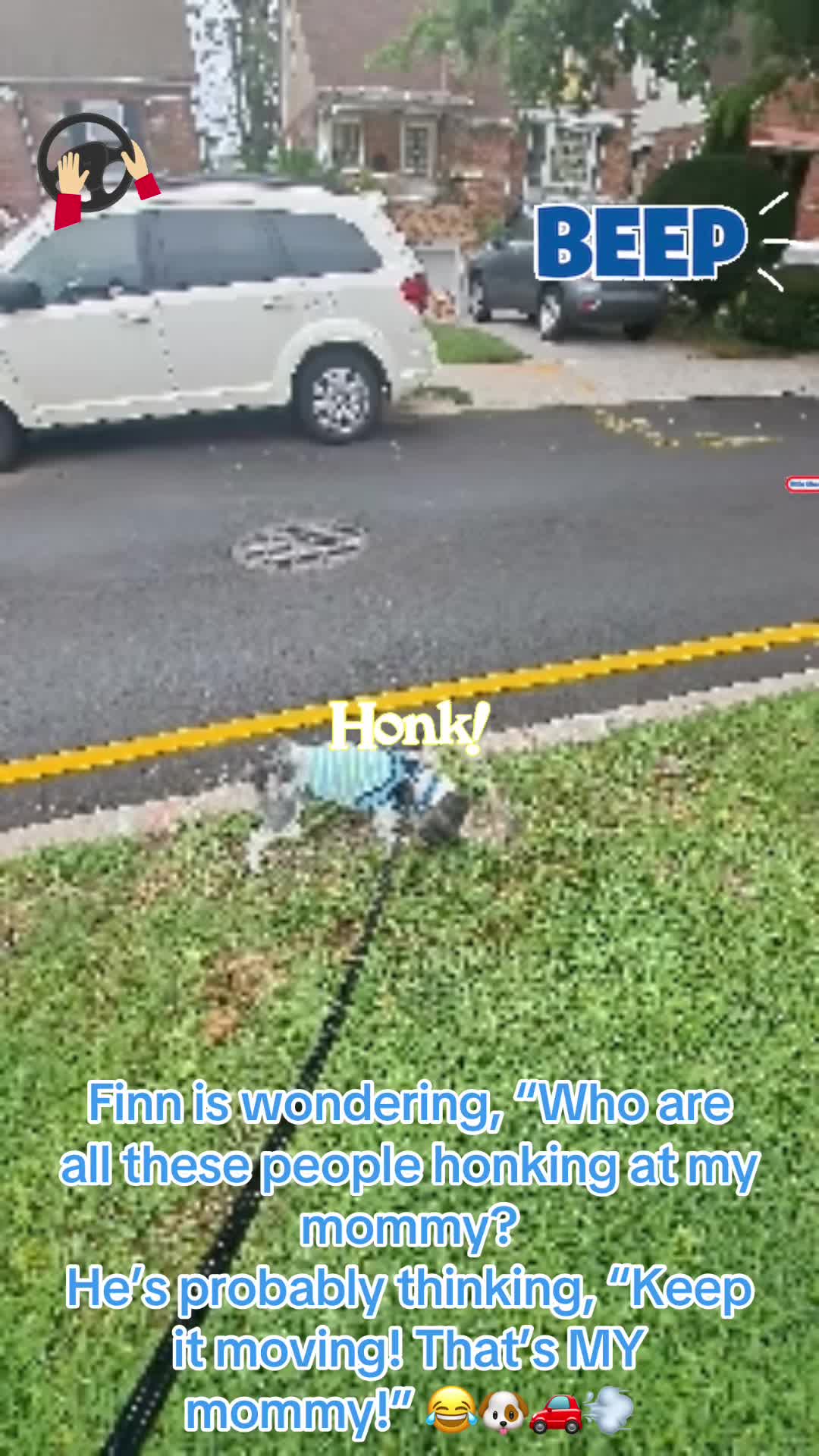 @finn2nyc