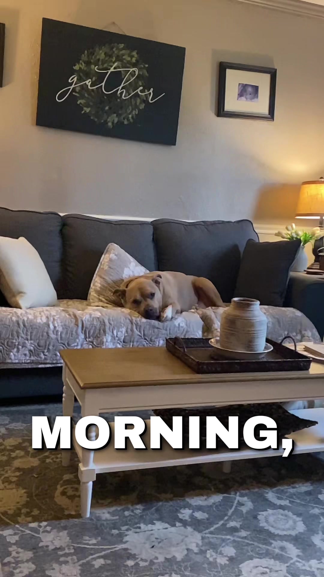 @Heather & Rocky 🐾💕