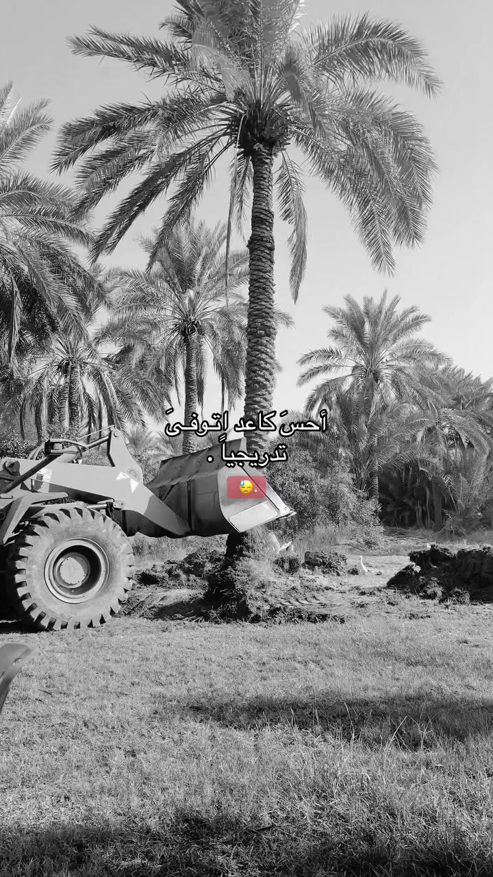 @﮼حَيدرا .