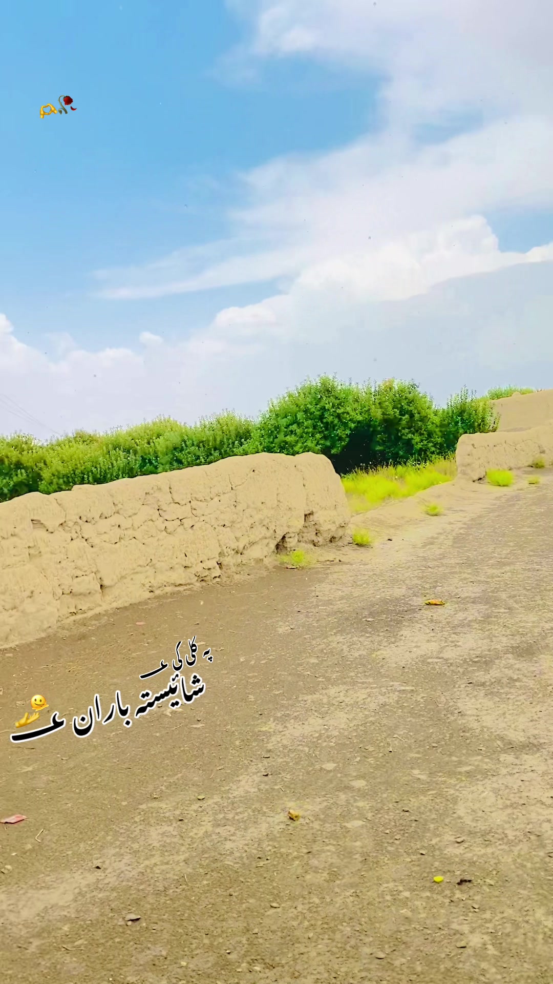 @🥀کاکــــڑ 🤟صــــآبــــ .🥹💯