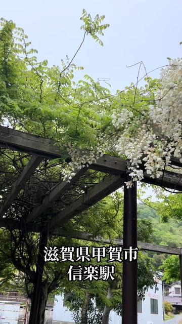 @剛仙