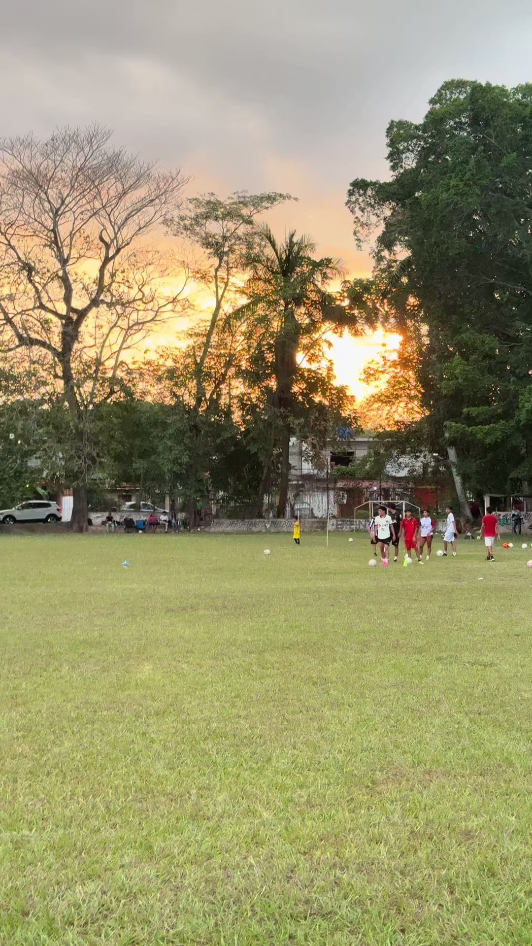 @⚽️Atlas citrus 🔴⚫️