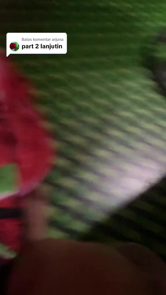 @video kentut random