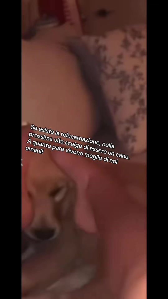 @🤍Jason cat 🇮🇹🇷🇴🇩🇪