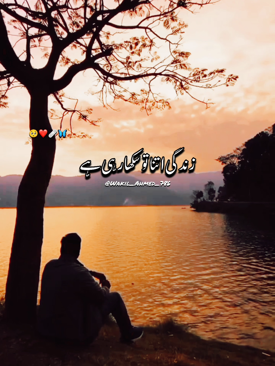 @wakilahmed