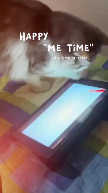 @🐱w!ne 🪺
