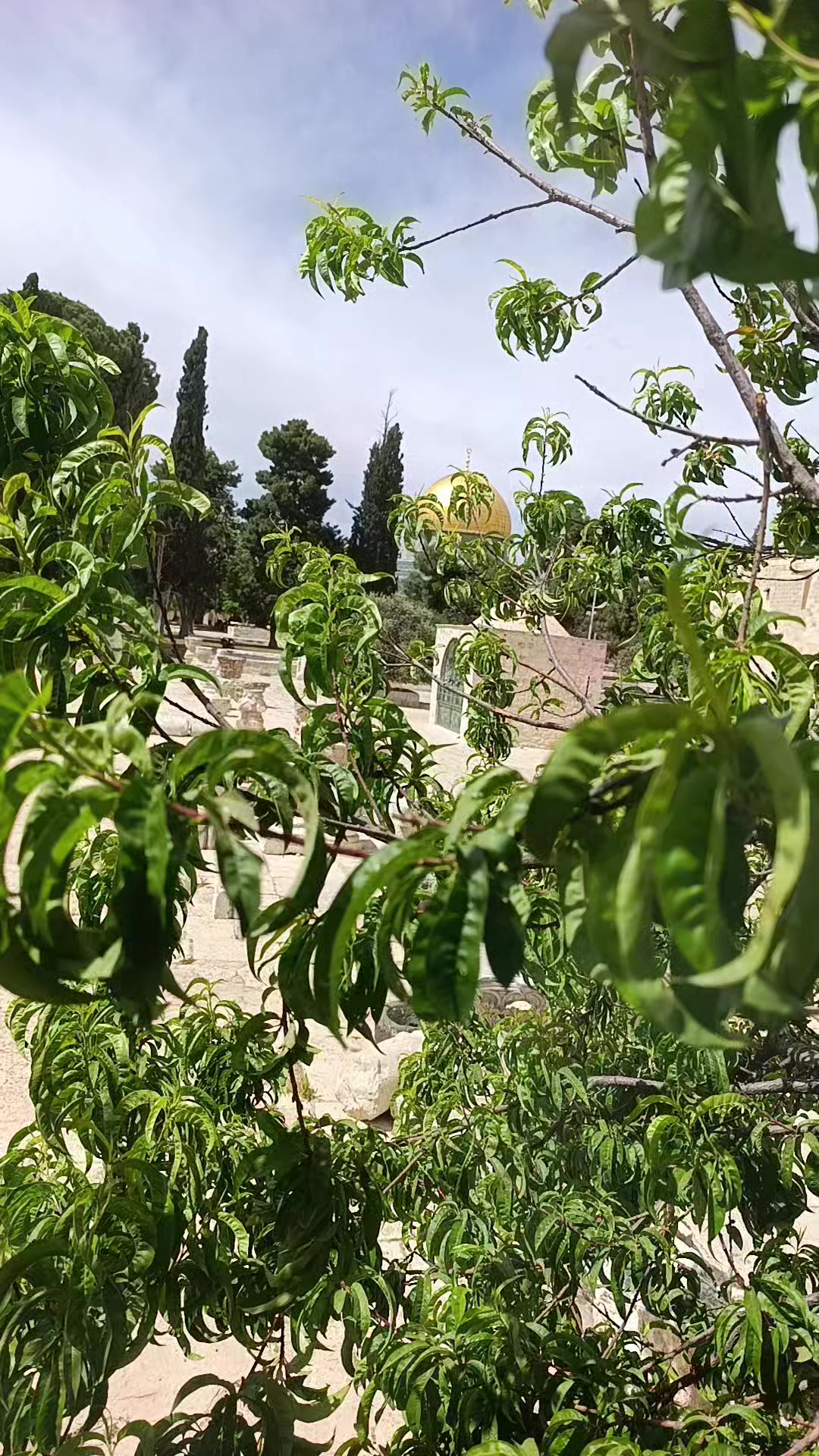 @baker13