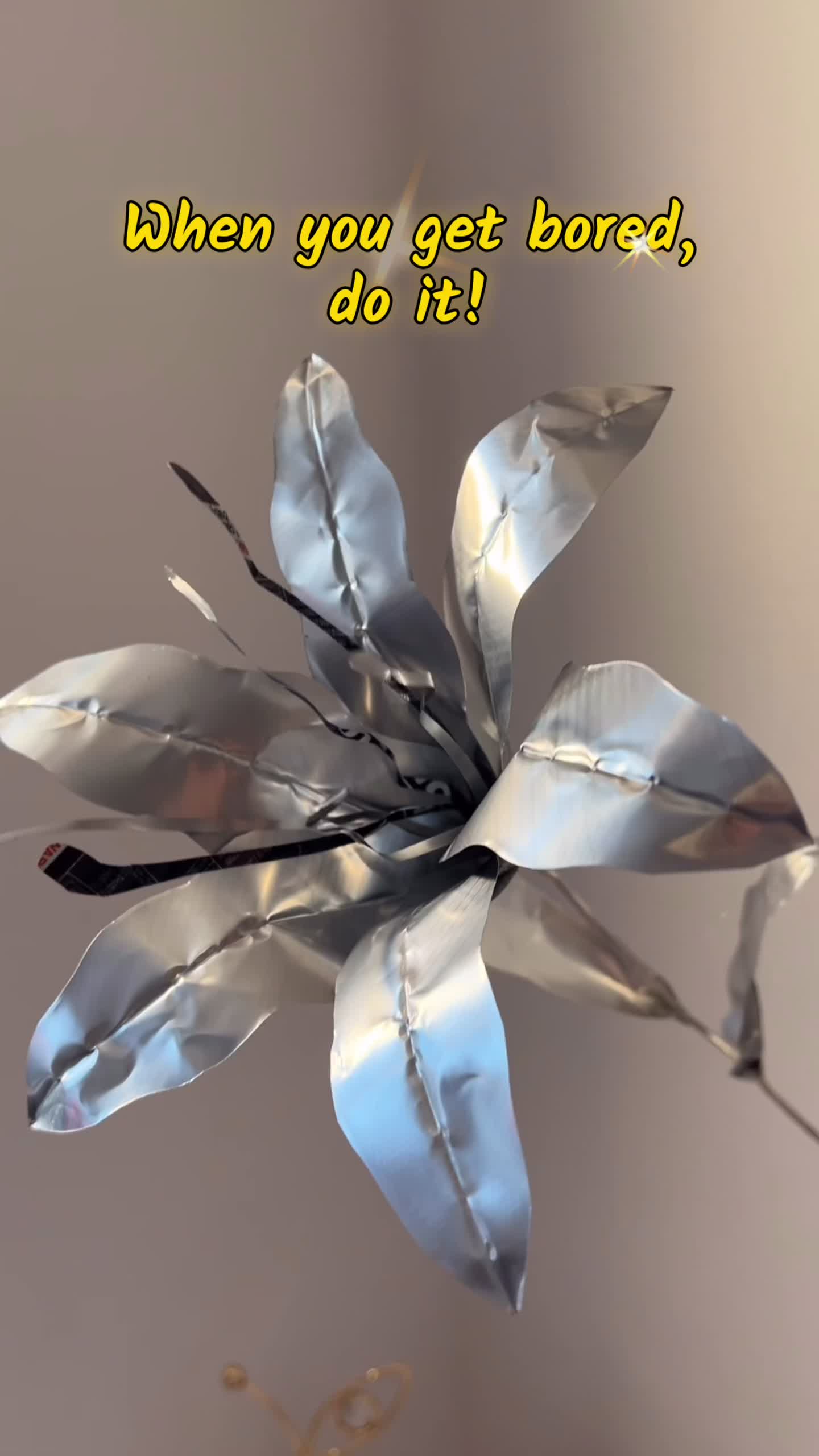 @bloomielab