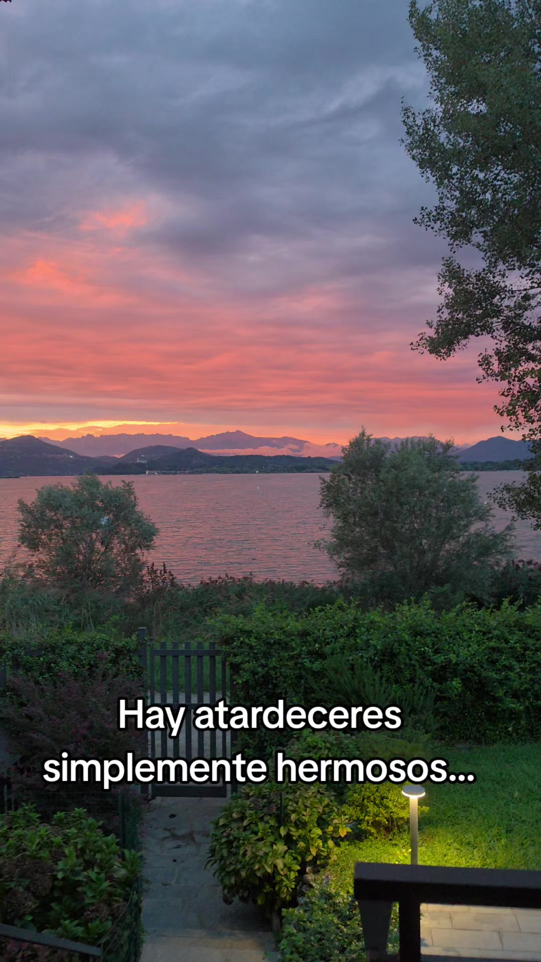 @martita