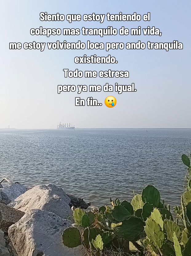 @Nellyzita