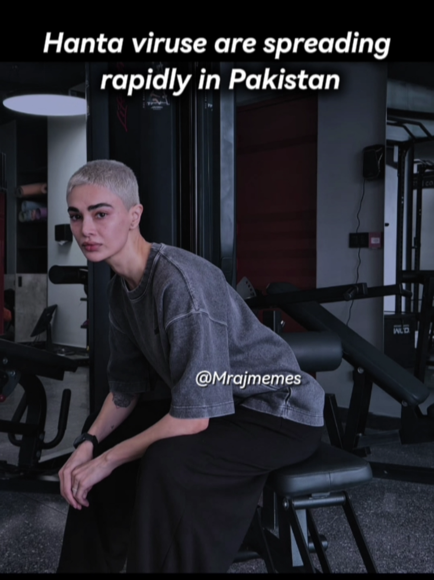 @Mrajmemes