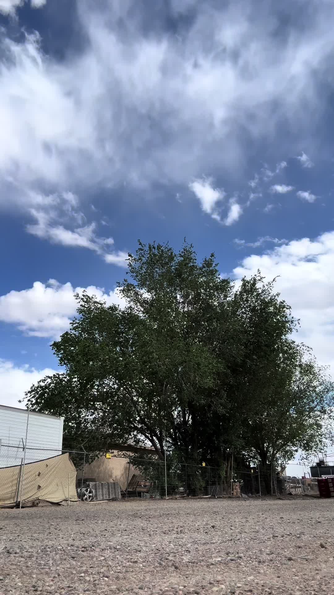 @Pizzaman6964