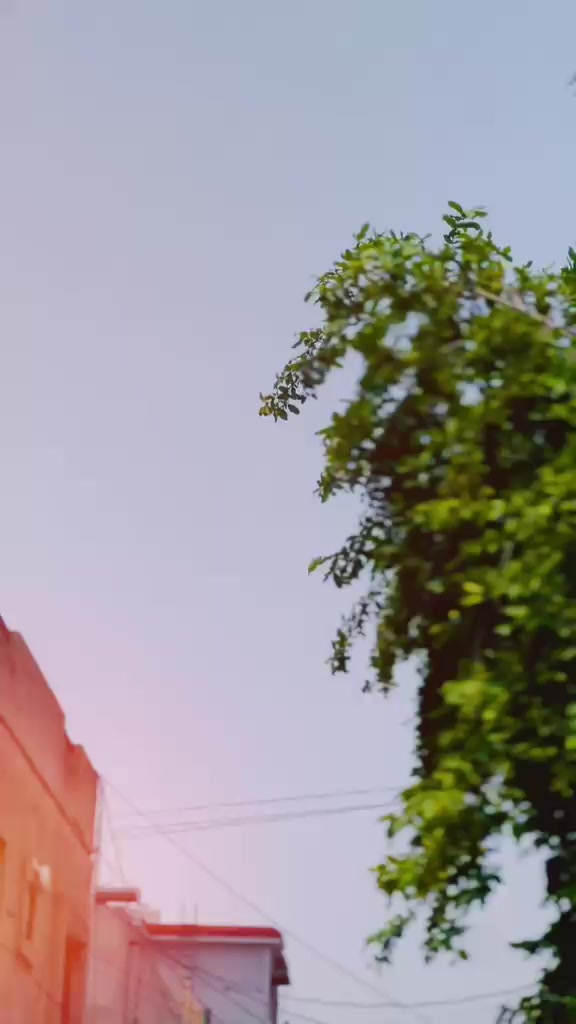 @ارسلان شفیع اعوان