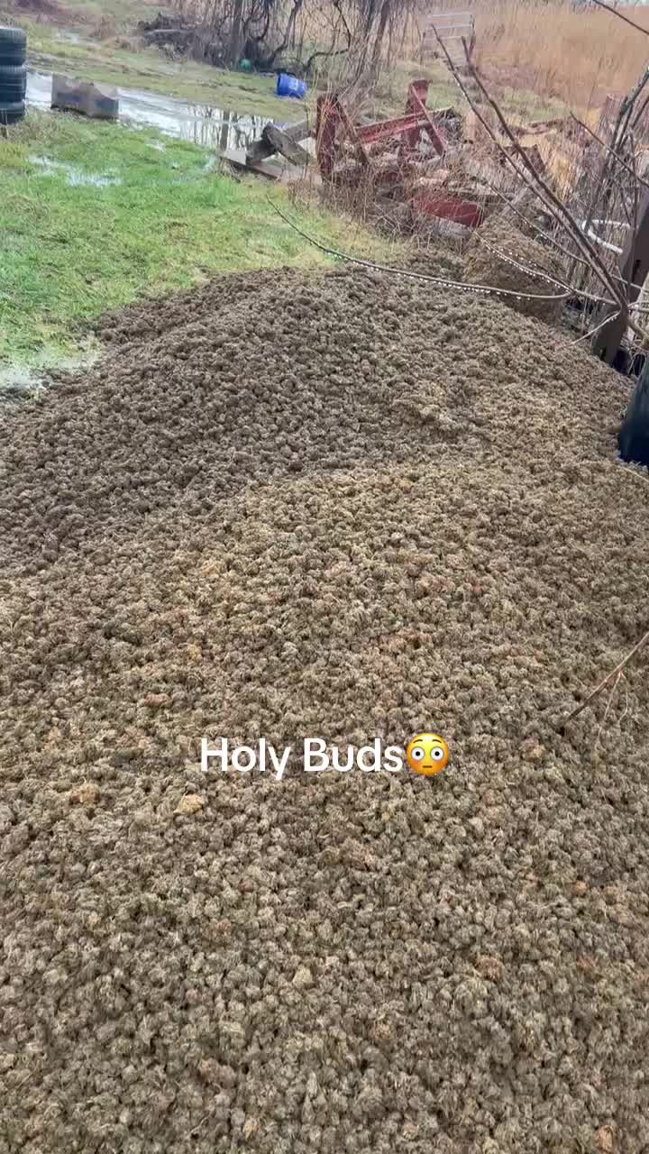 @derouchiechris