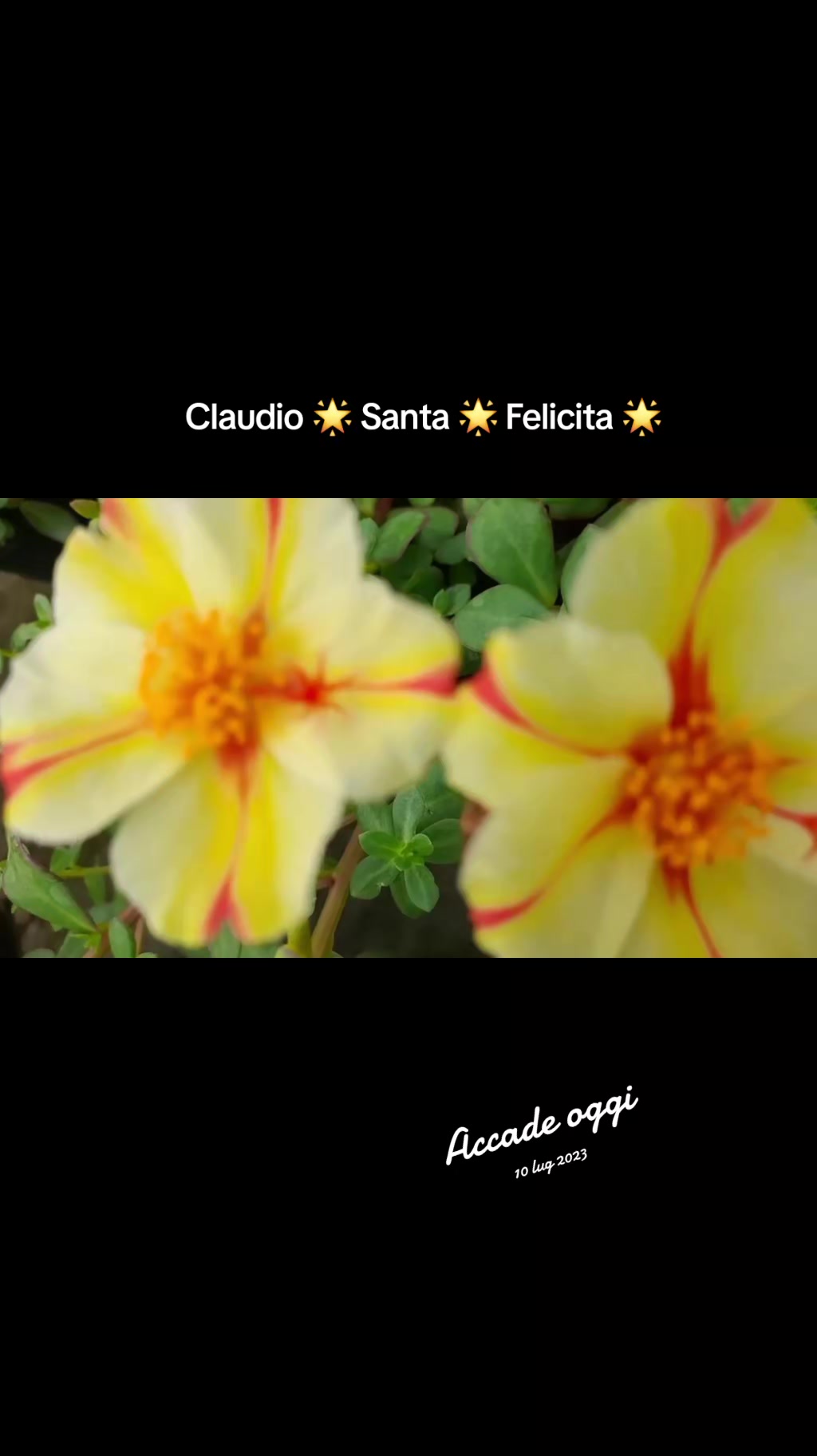 @Claudio Santa Felicita