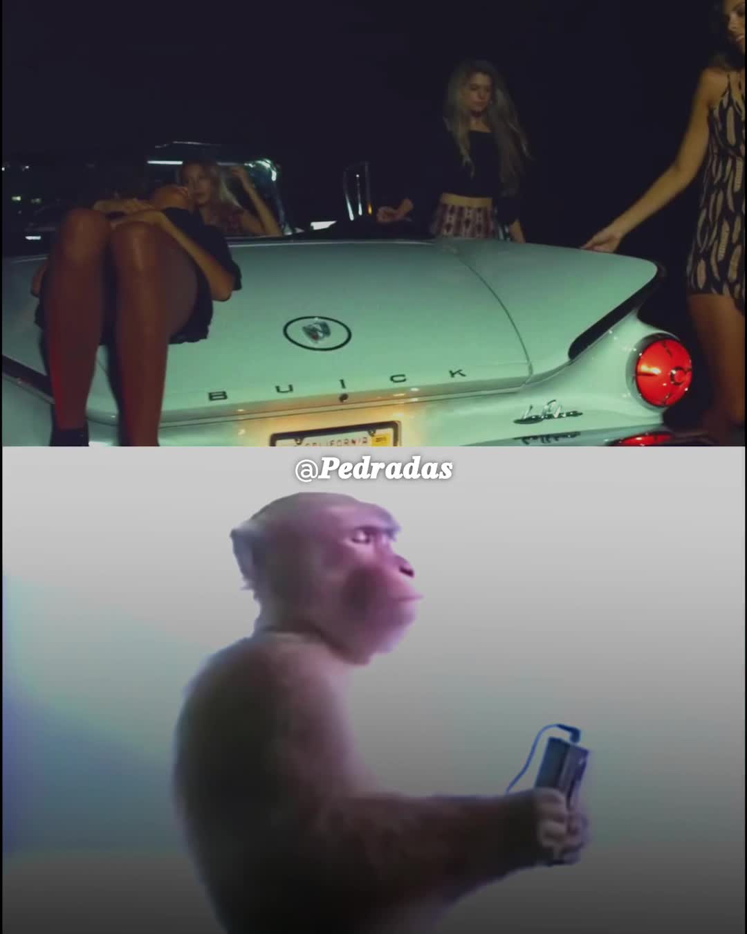 @๐ท๐๐
๐๐๐
๐๐๐ต