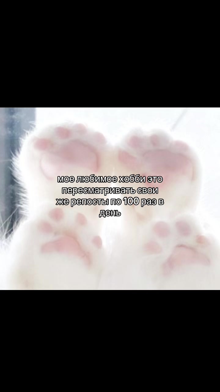 @݁˖𝜗ৎ ᥎ᥲᥒiᥣᥣᥲ‧˚꒰🐾୭ ˚