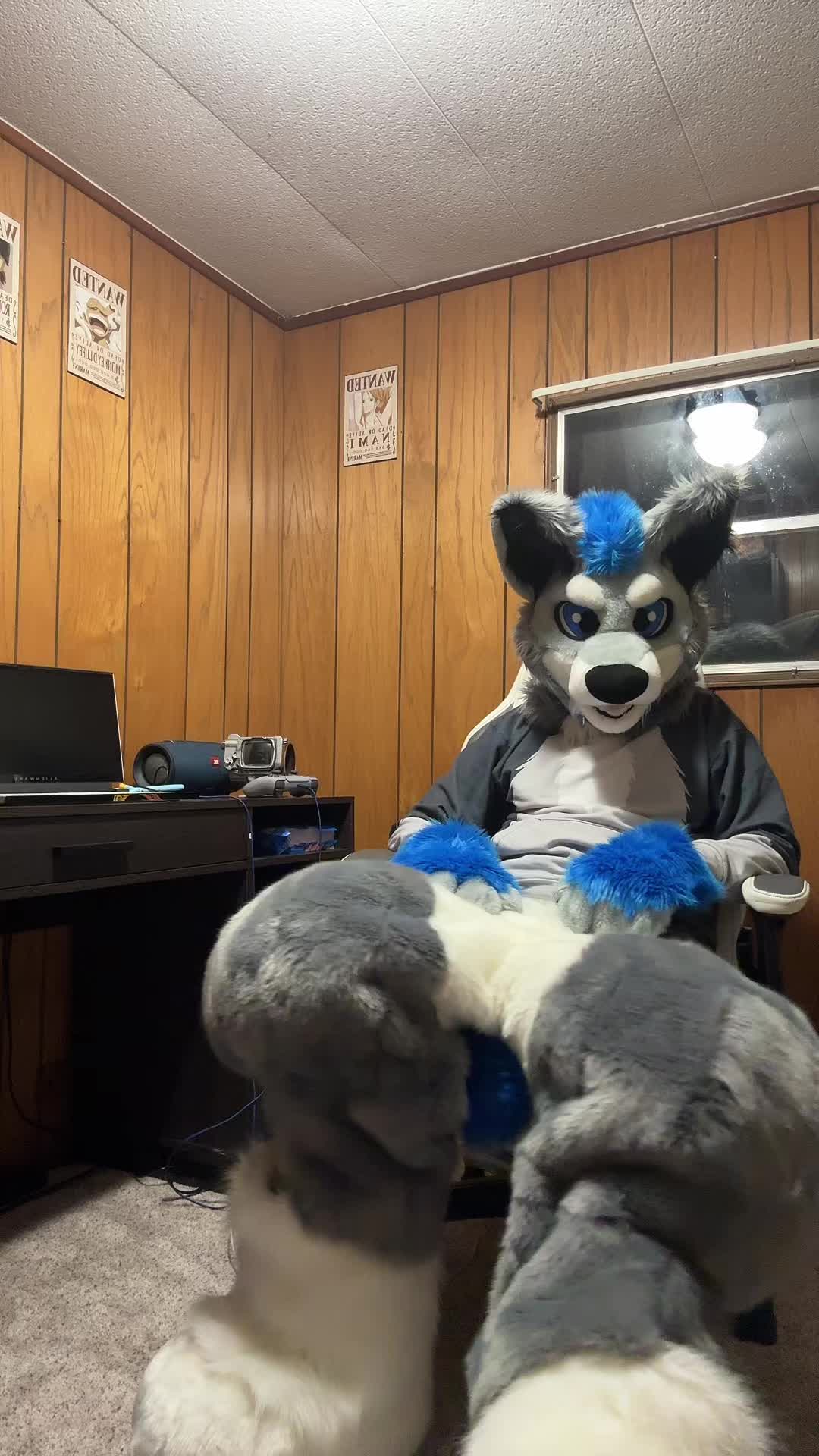 @BlueSilver_Wolf