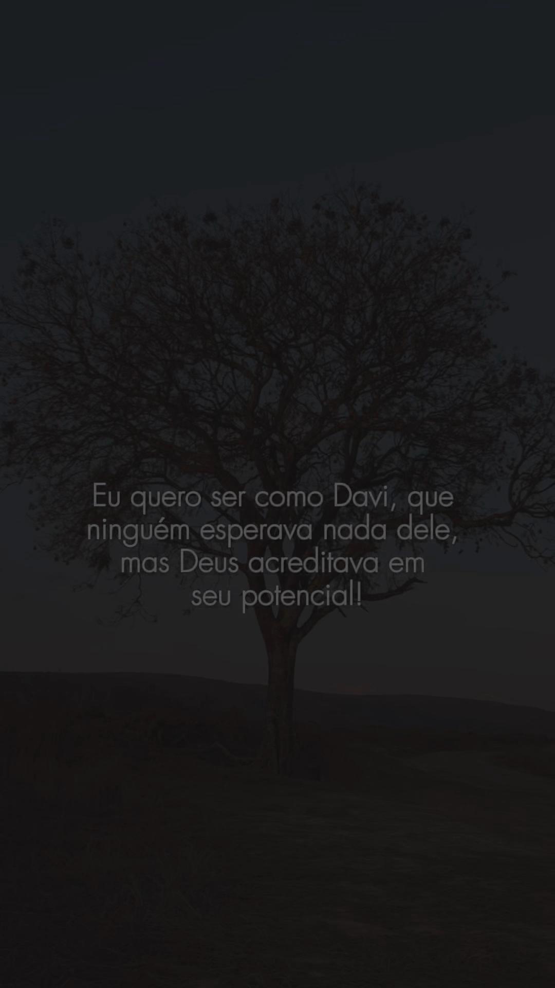@Suzana Calixto