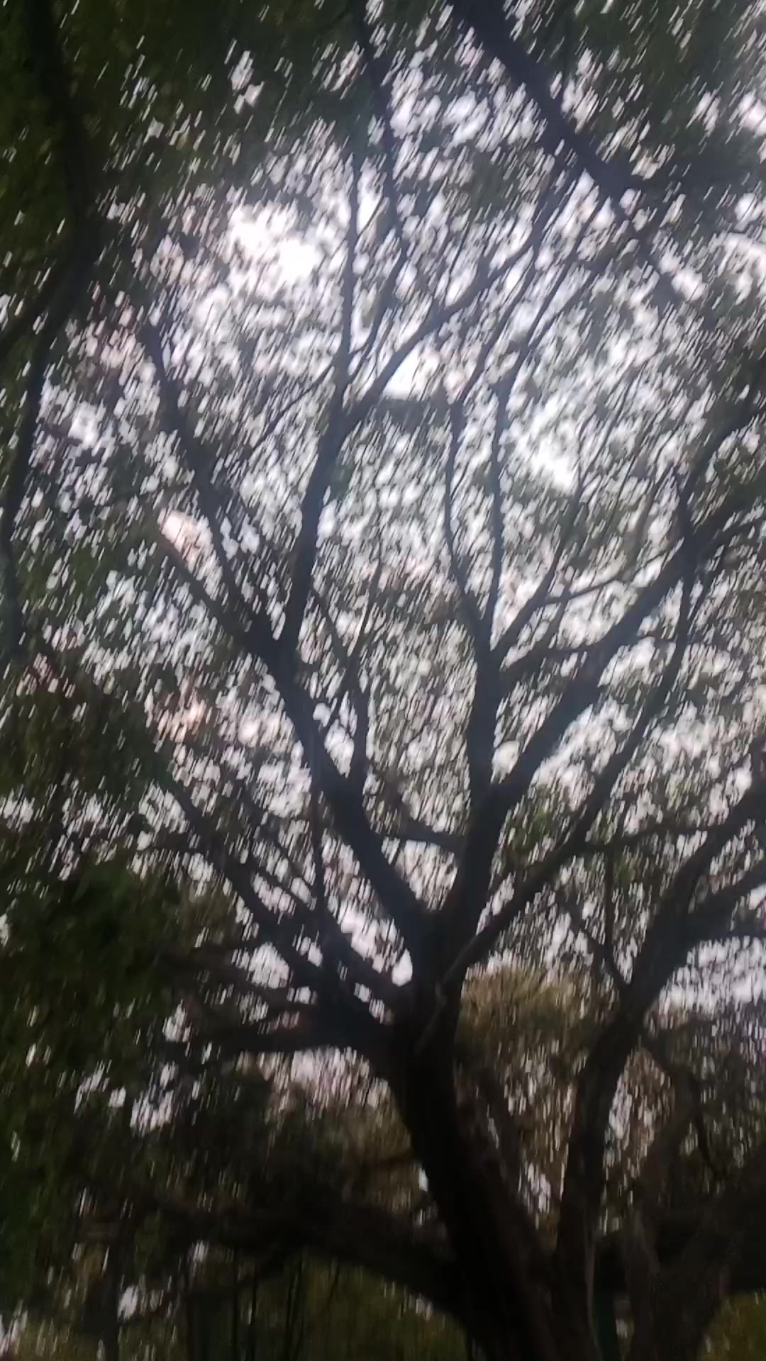 @user84904473110