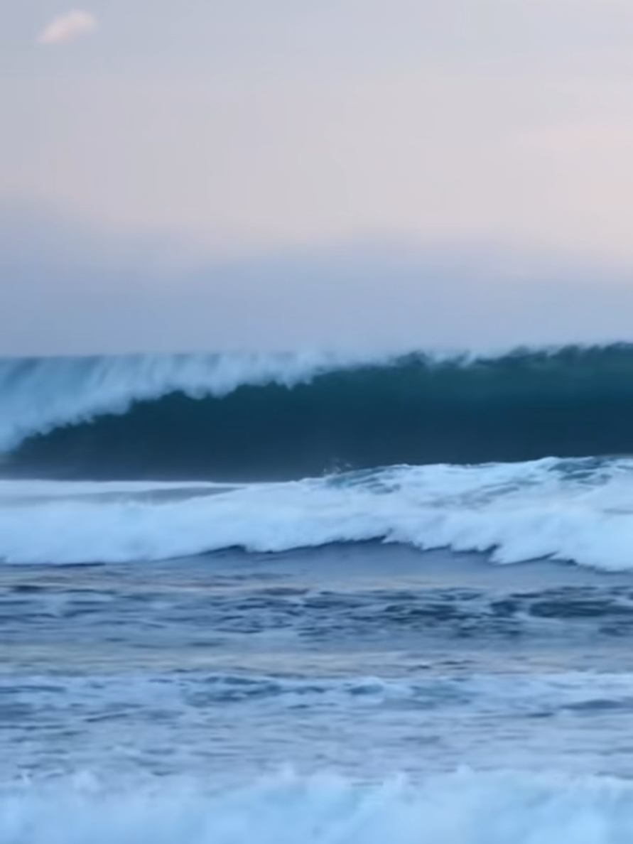 @Otua🪼surf
