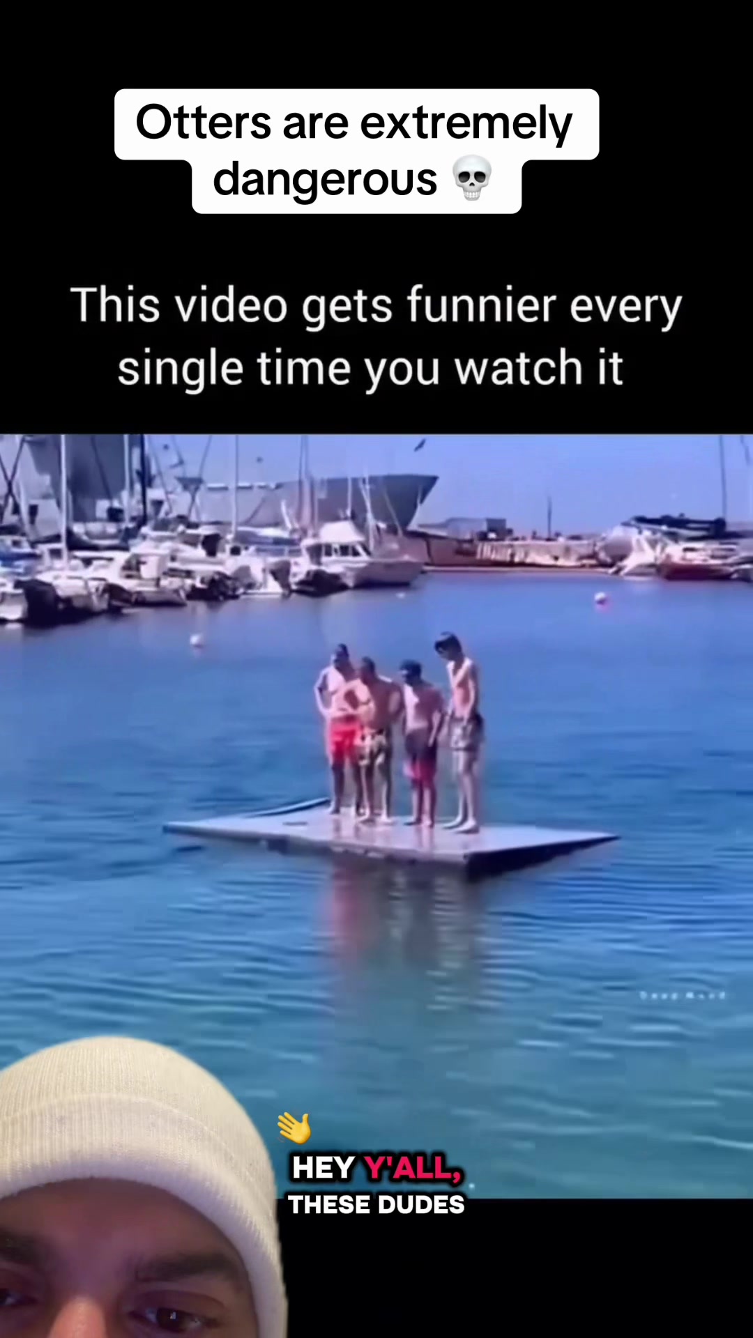 @mickystickey