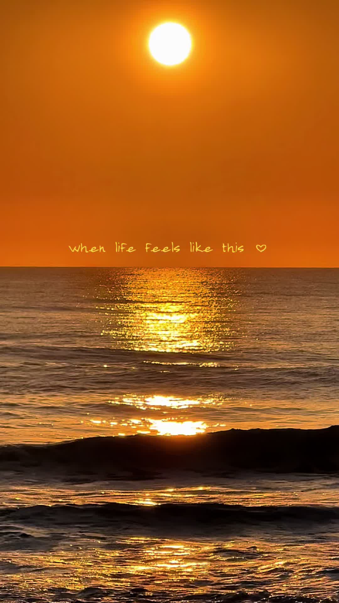 @Twiddy OBX