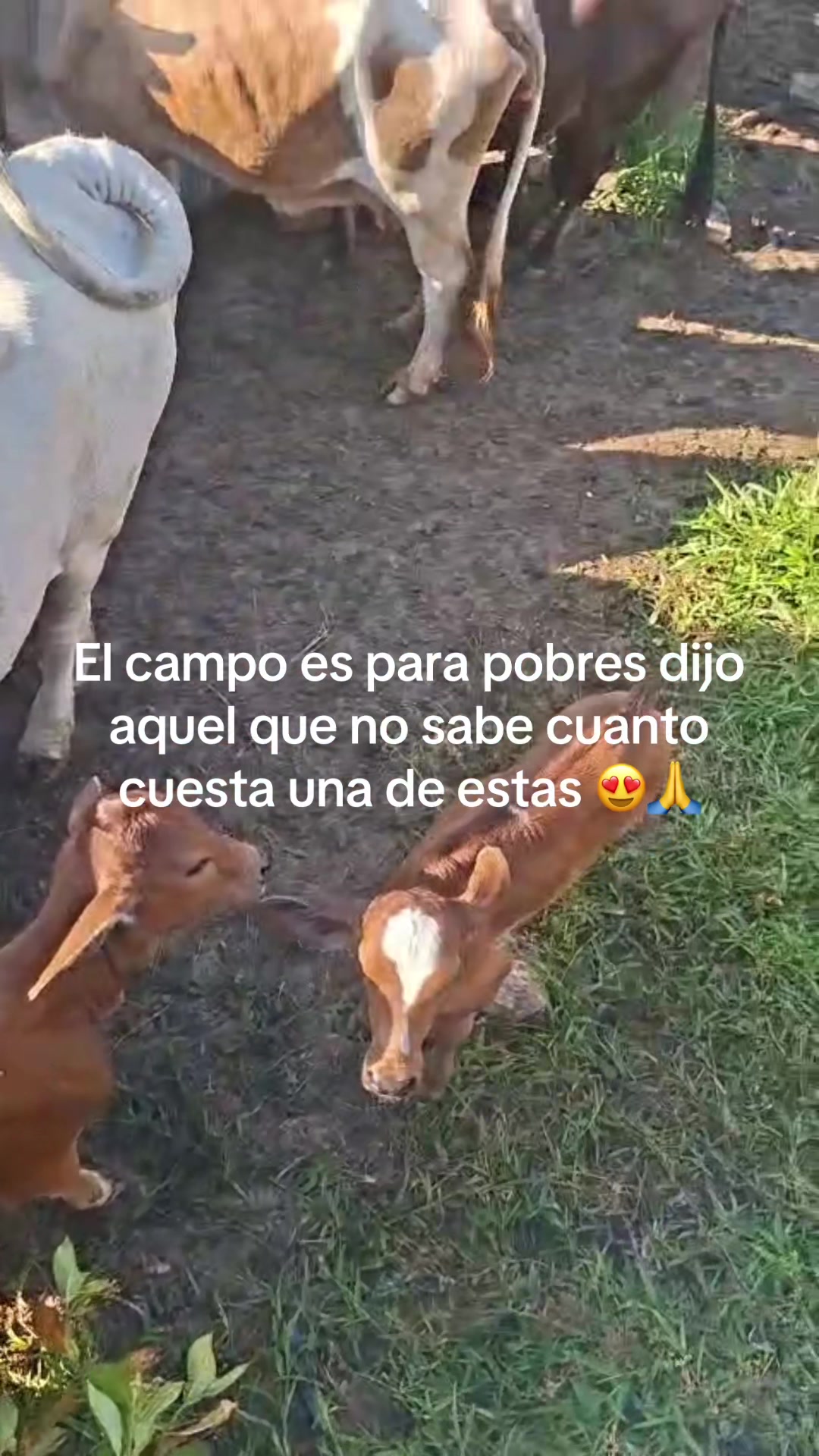 @Verónica Berganza