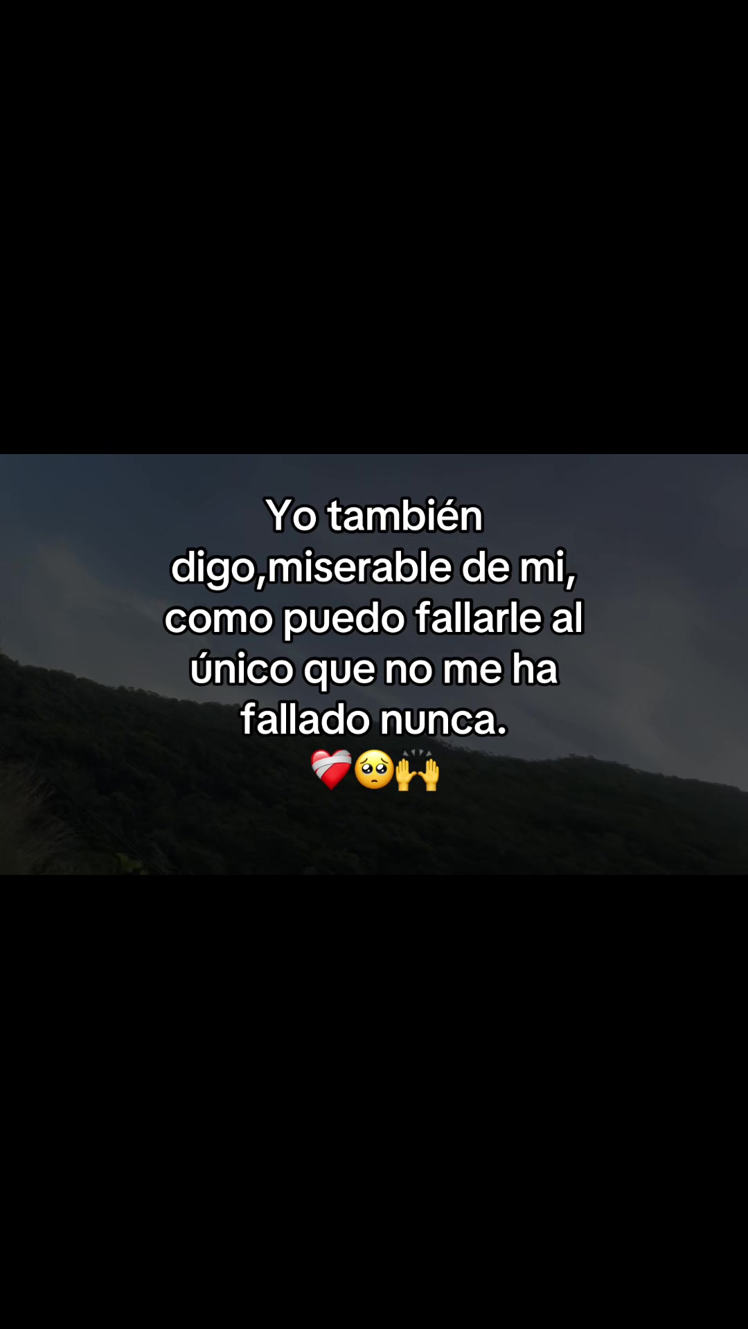 @🌻🎤🌻