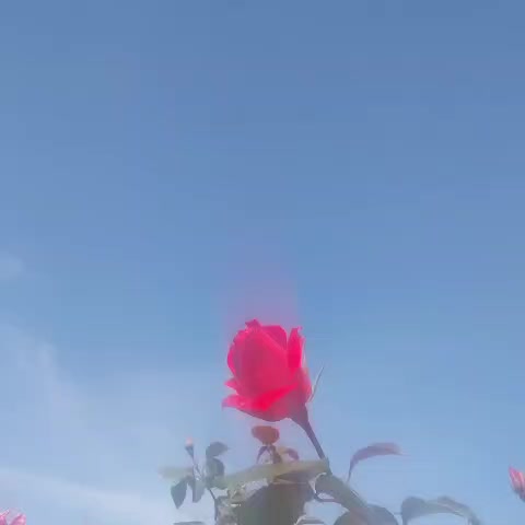 @🌙AY İŞIĞI🌙