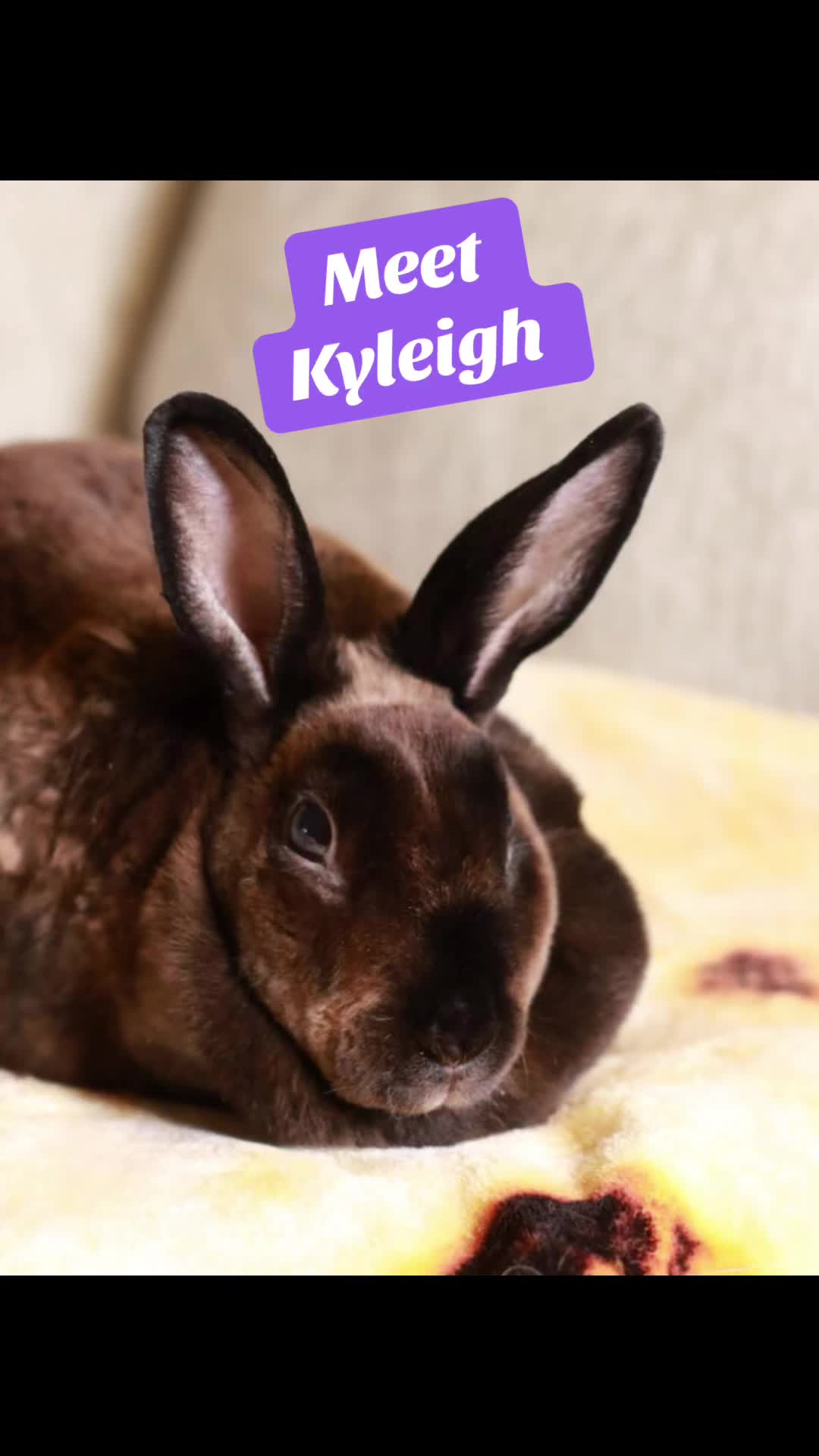 @Erinn B