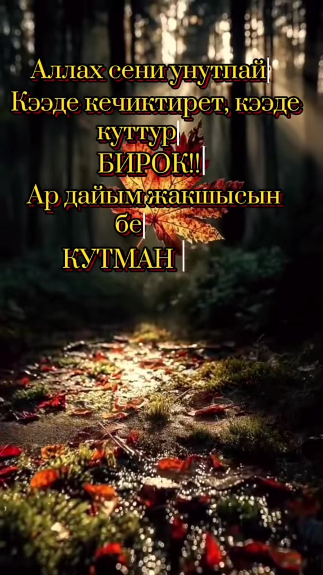 @💫💫ГУЛНАЗ БАТКЕН 76💫💫