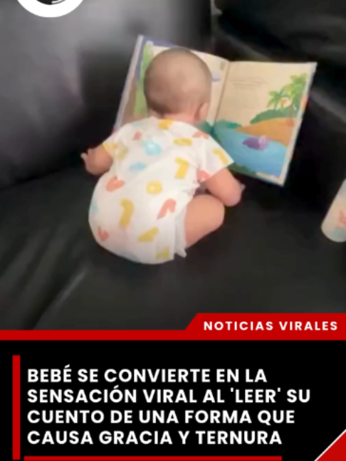 @elveedordigital