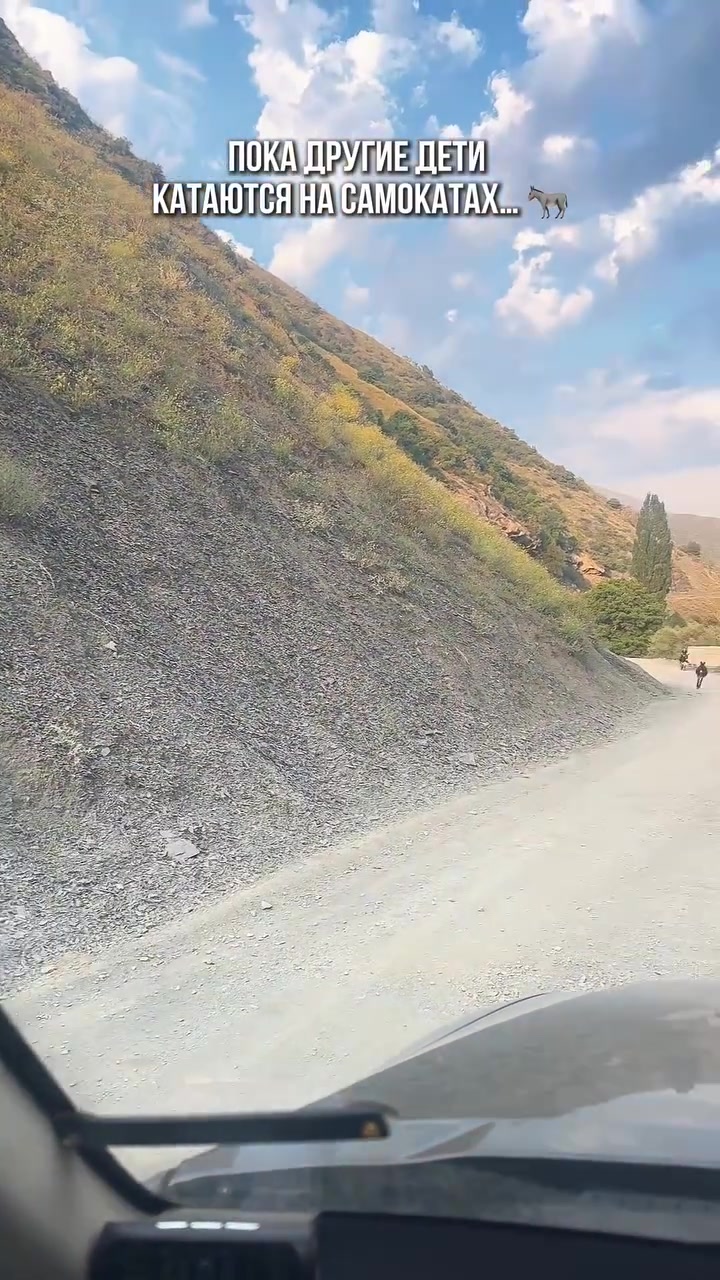 @Жужа и ее друзья