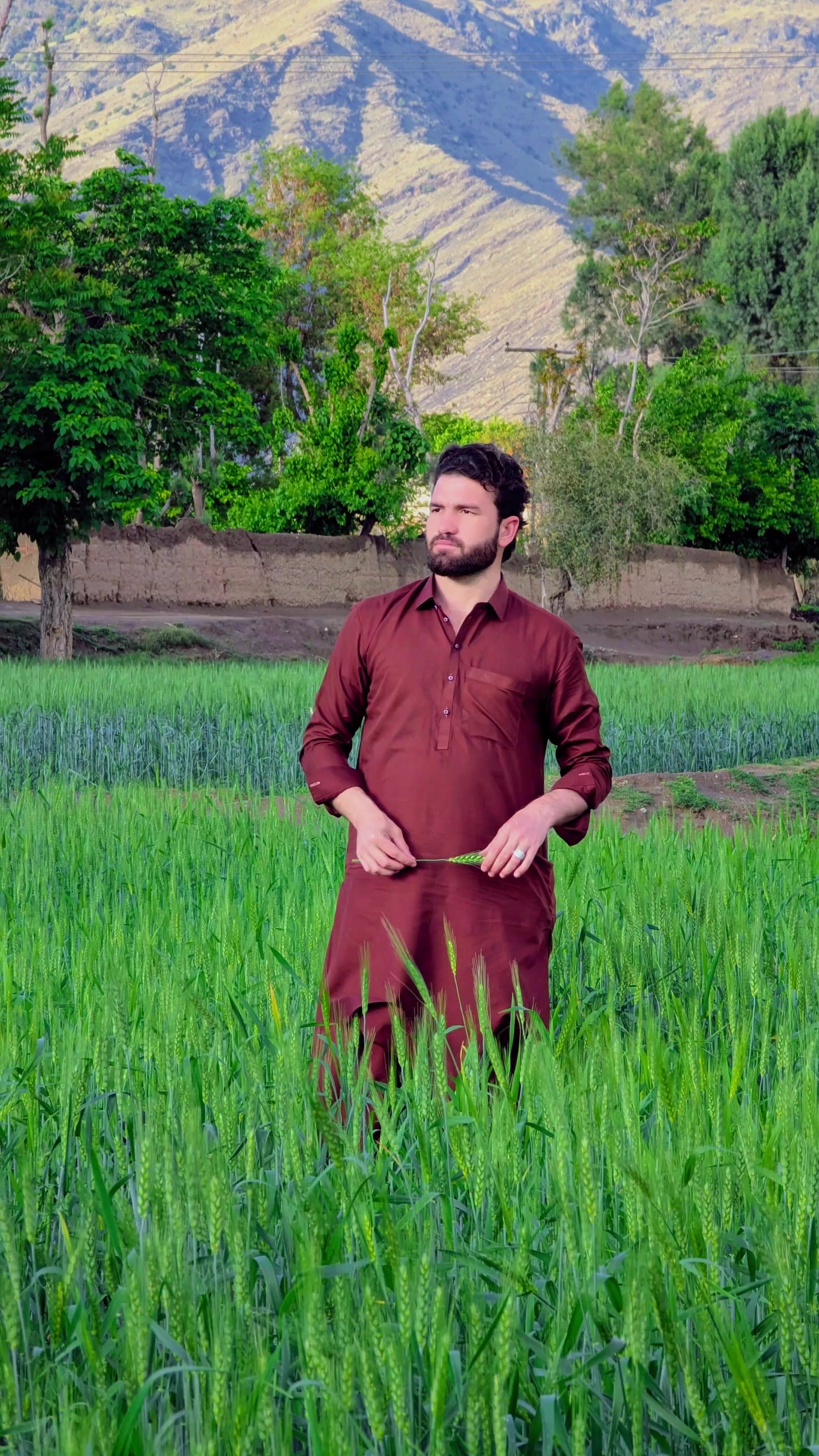 @️Zubair Mohmand