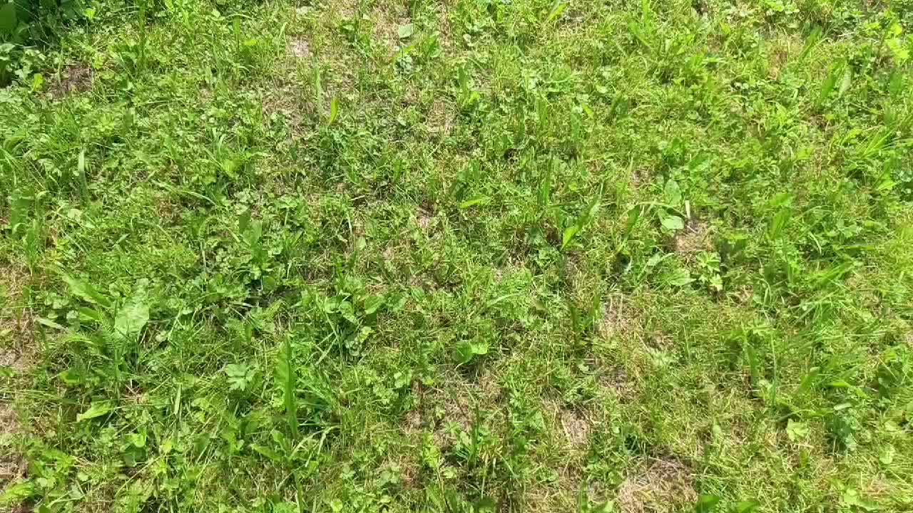 @мучачо