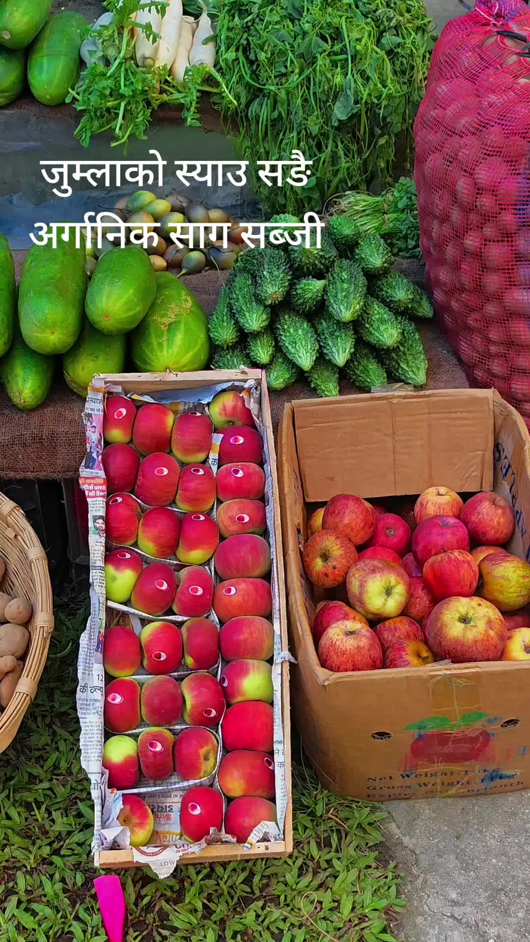@ganesh dawadi