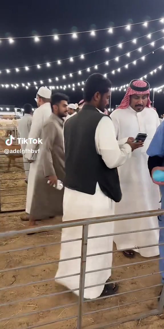 @mohamed_ksa0
