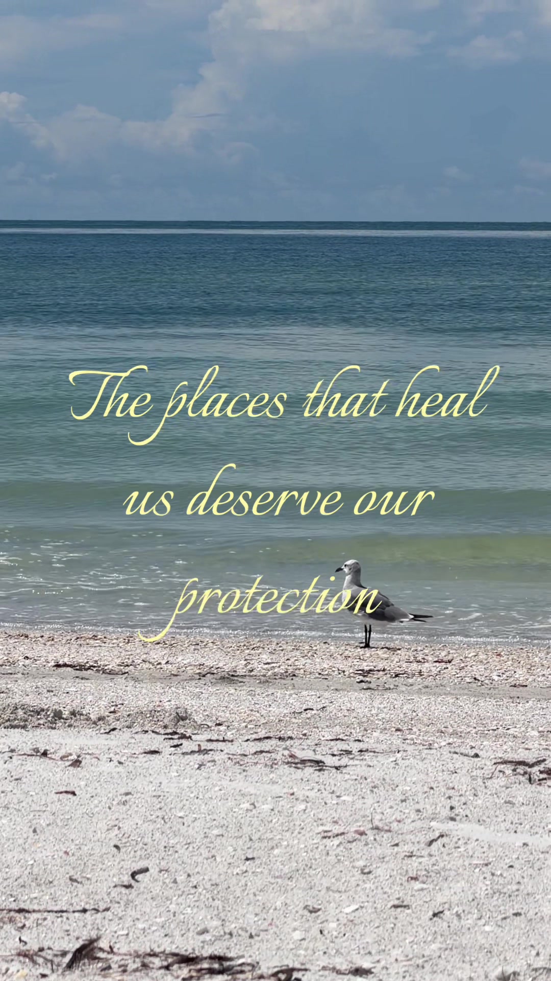 @🐚FLORIDA WITCH