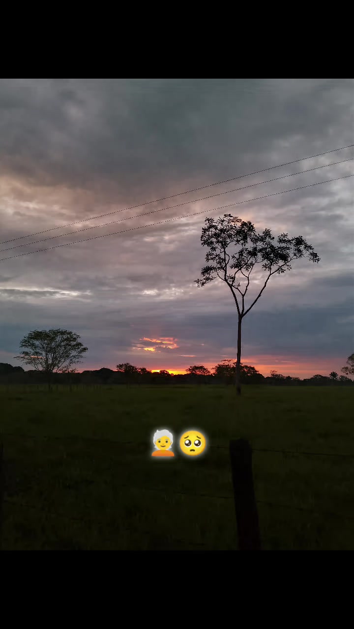 @R'icardito 🐊
