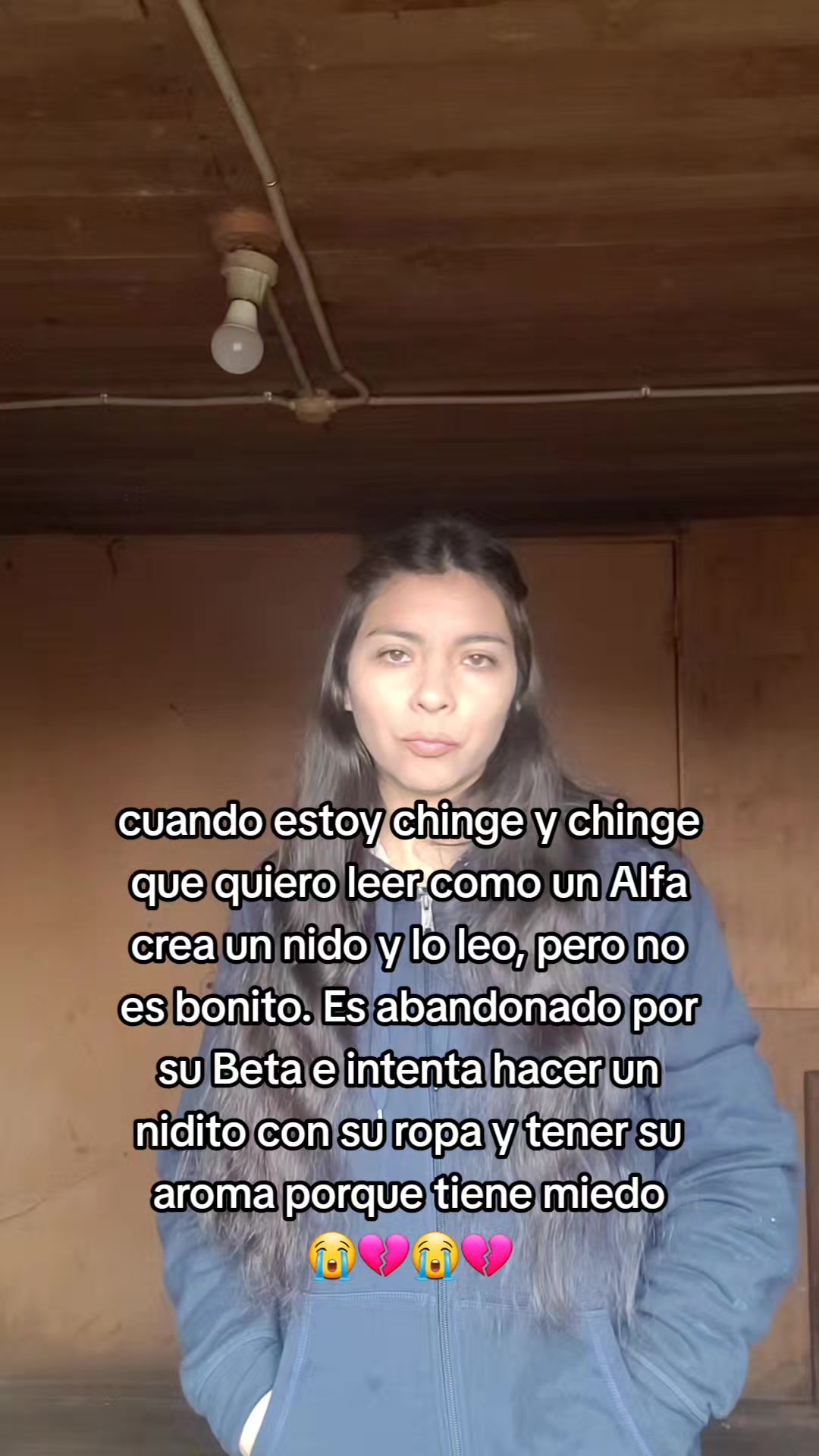 @books.omegaverses