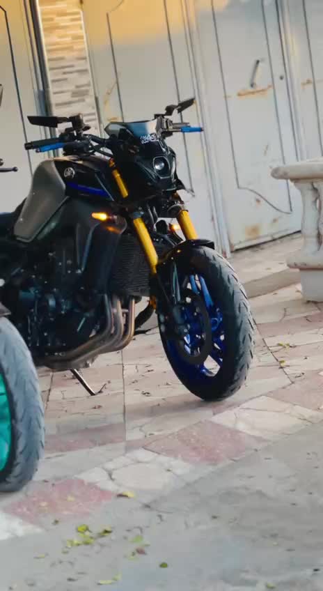 @Salamo Gt