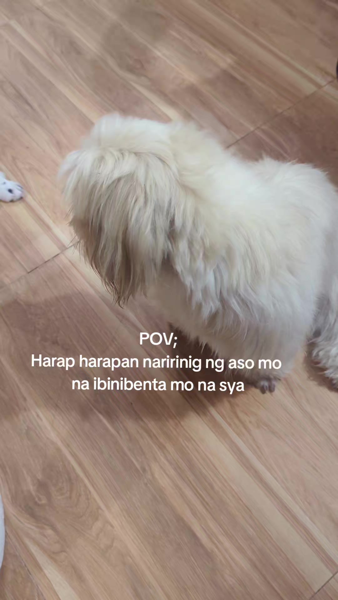 @sweetly.jeeneell