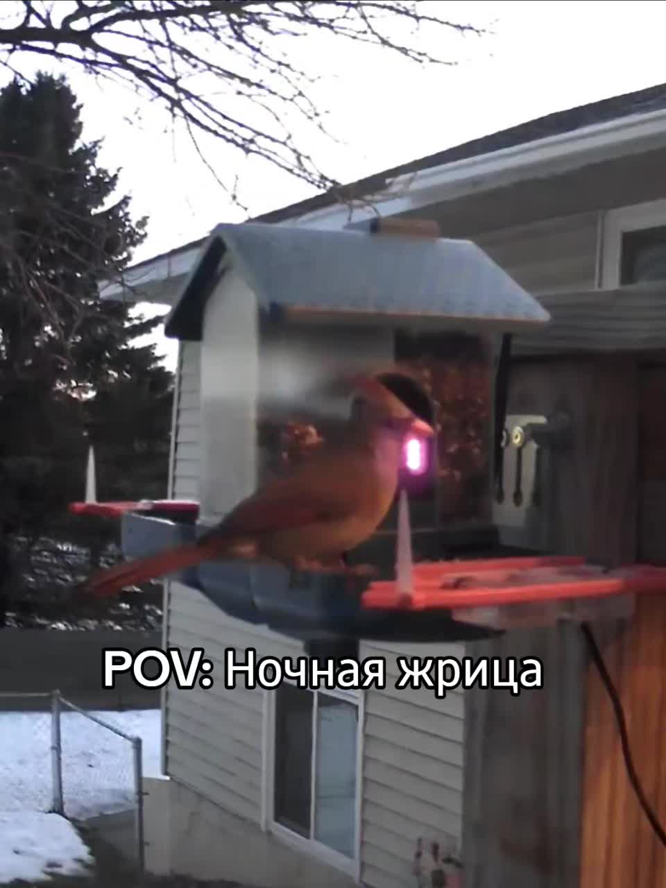 @Любопытно