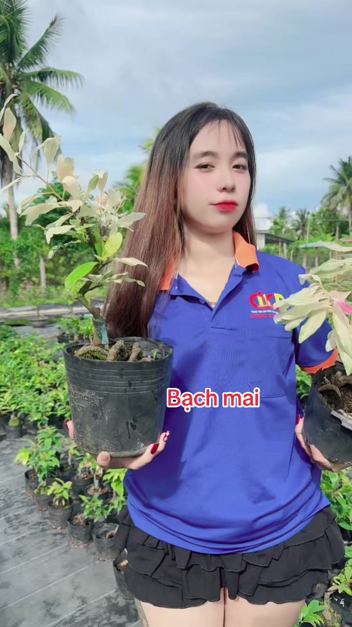 @Chichchoebong79