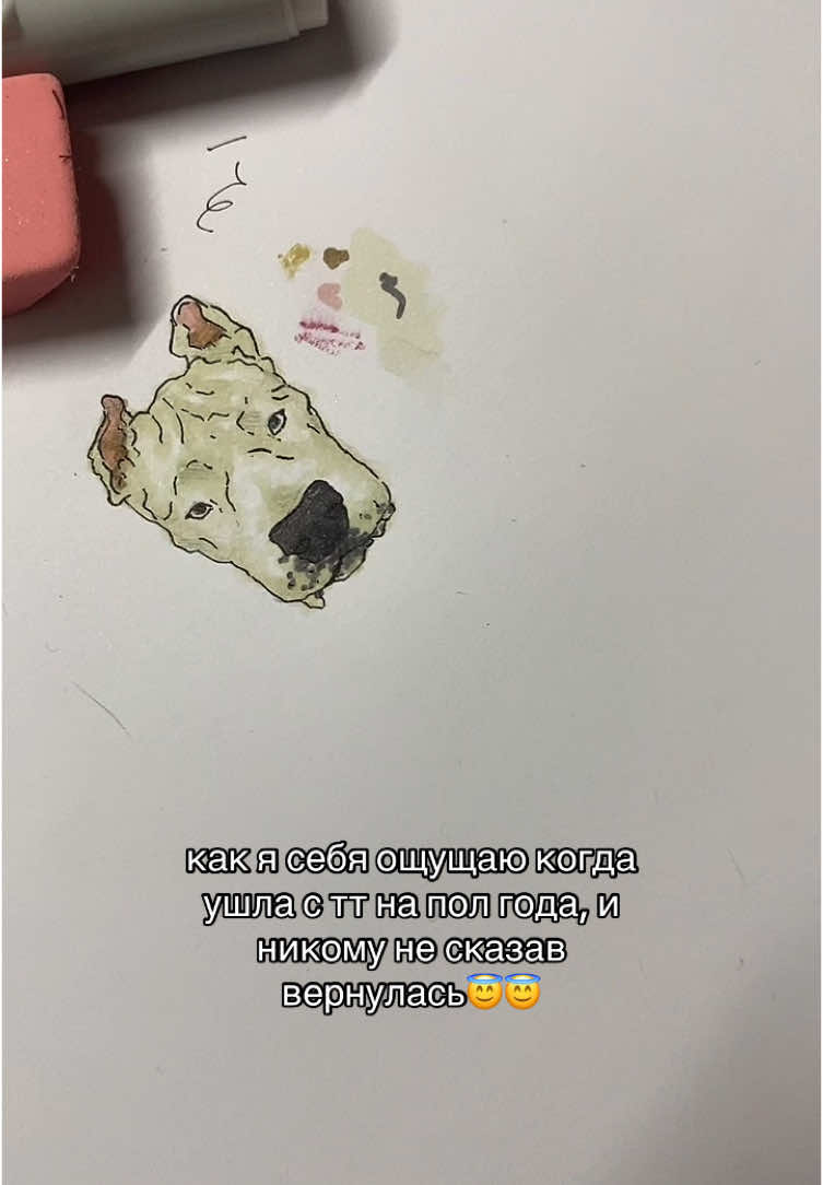 @𝐏𝐔𝐏𝐋 𝐃𝐎𝐆𐙚