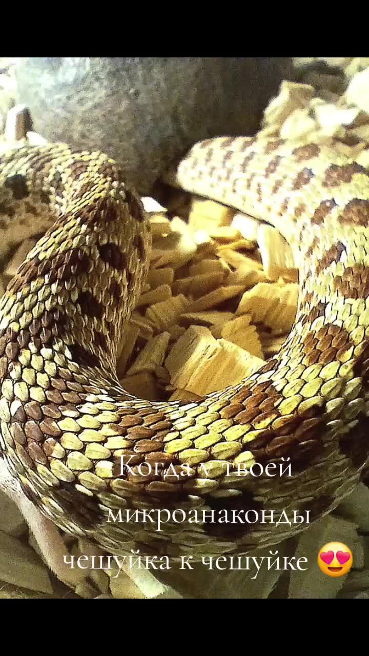 @Катя